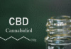 Full Spectrum CBD vs Broad Spectrum CBD